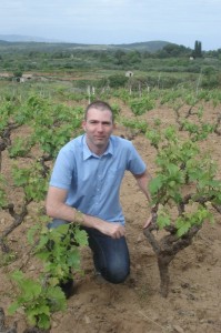 In the oldest vineyard of Plavac Mali