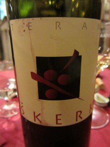 Terrano 2011 - Škerk