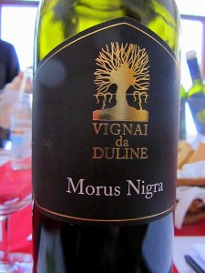 Morus Nigra 2009 - Vignai da Duline