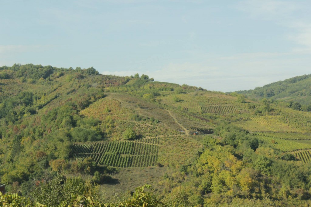 Gubovac hill (© Photographicon)