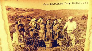 Grčka istorija vina