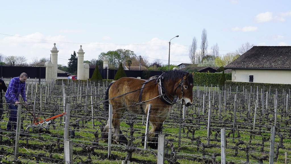 Chateau Pape Clement