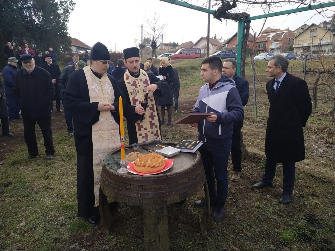 Dan Svetog Trifuna u Sremskim Karlovcima (foto: Đorđe Simović)