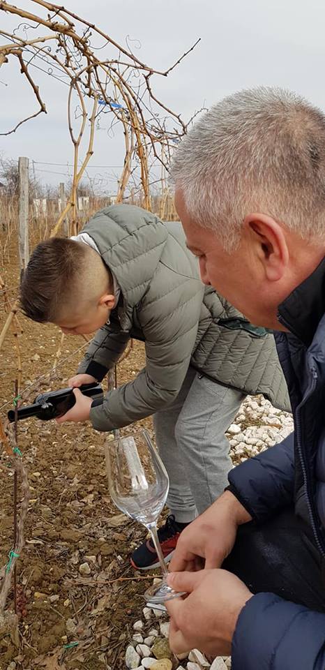 Dan Svetog Trifuna u Smederevu (foto: Podrum Janko)
