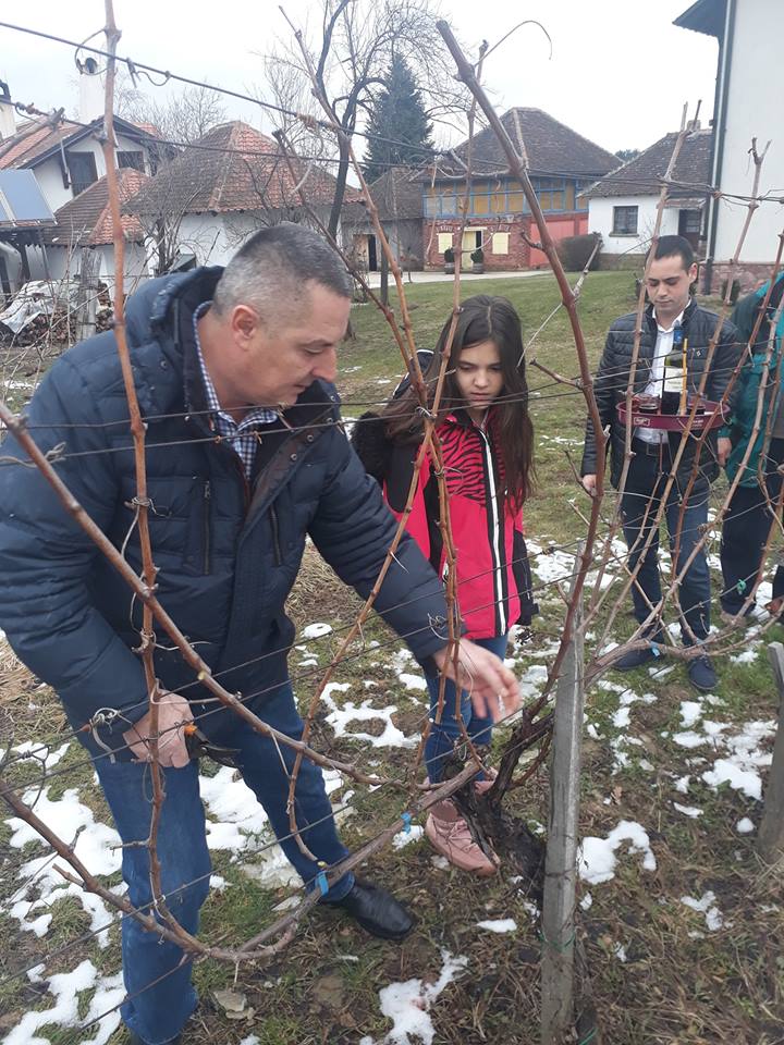 Dan Svetog Trifuna u Ljigu (foto: Podrum Lukić)