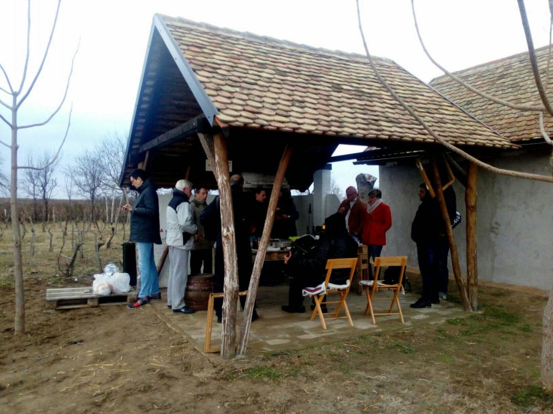 Dan Svetog Trifuna na Fruškoj gori (foto: vinarija Tri međe i oblak)