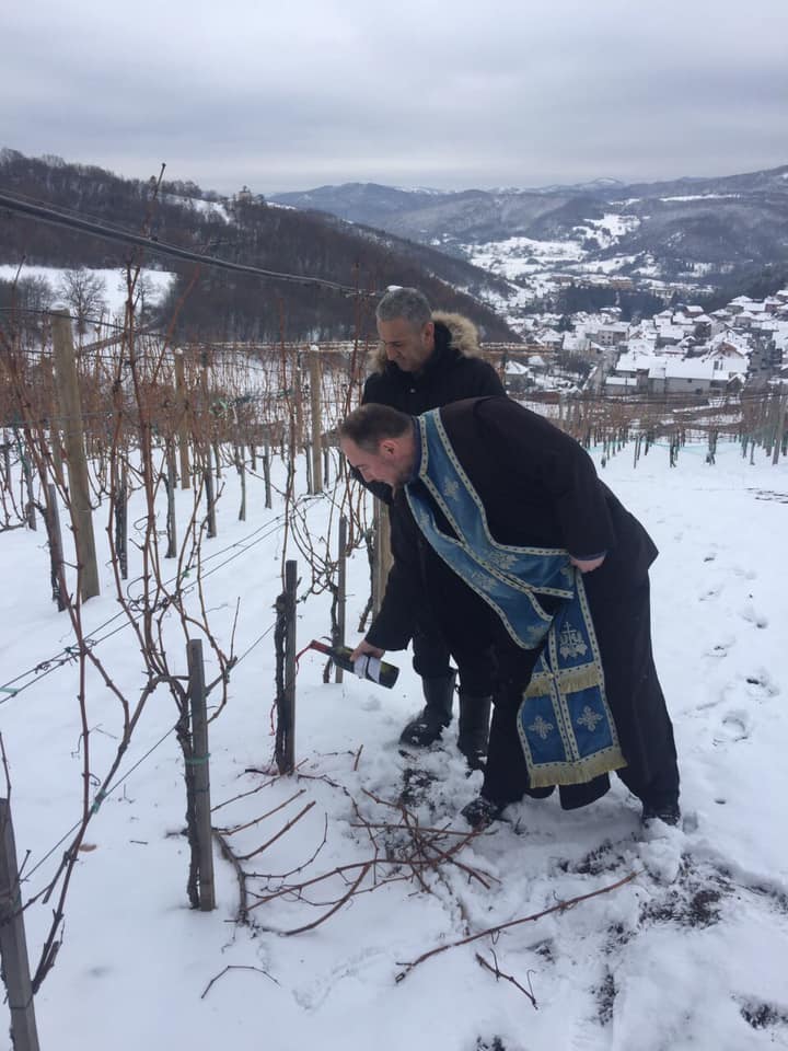 Dan Svetog Trifuna u Leposaviću (foto: vinarija Jevremović)
