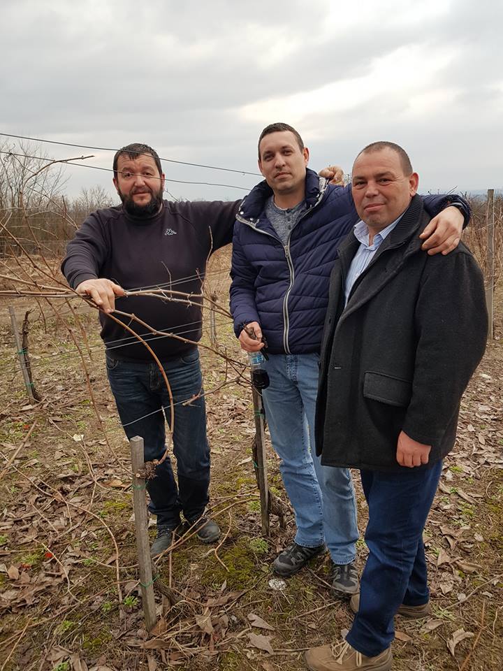 Dan Svetog Trifuna u Trsteniku (foto: vinarija Magaza)