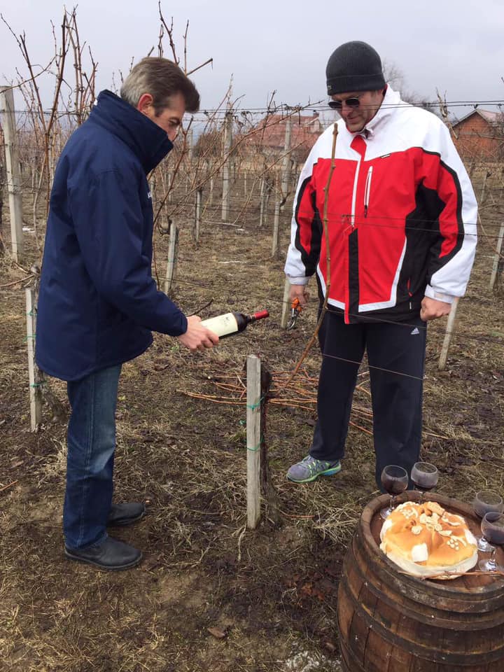 Dan Svetog Trifuna u Jagodini (foto: vinarija Vinis)